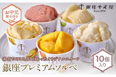 ＜お中元仕様＞ 銀座千疋屋 銀座プレミアムソルベ 10個入り F24R-101
