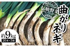 明治から守る伝統野菜「曲がりネギ」約9㎏ F7X-0076