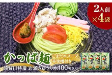『須賀川特産岩瀬きゅうり』使用かっぱ麺 F7X-0504