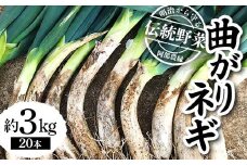 明治から守る伝統野菜「曲がりネギ」約3kg F7X-0075