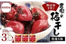 無添加 手作り梅干し 特選 大梅 250g×3パック F7X-0039