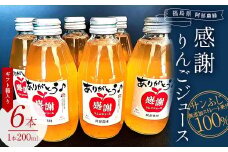 阿部農縁　感謝りんごジュース6本ギフト箱入り　サンふじ無添加ストレート果汁100%　200ml×6本 F7X-0024