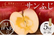＜訳あり家庭用りんご＞福島県のリンゴ　サンふじ約5kg(14～20玉) F7X-0014