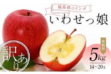 ＜訳あり家庭用りんご＞福島県のリンゴ　いわせっ娘 約5kg(14～20玉) F7X-0011