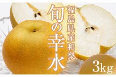 阿部農縁　福島県の和梨　甘くて水分豊富な旬のなし　幸水3kg(8～11玉)　ギフト・贈答用 F7X-0059