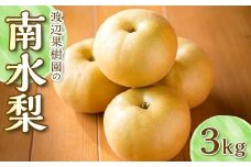 渡辺果樹園の南水梨　約3kg＜9月上旬～9月下旬にお届け＞ F7X-0164