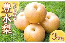 渡辺果樹園の豊水梨　約3kg＜9月上旬～9月下旬にお届け＞ F7X-0163