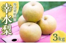 渡辺果樹園の幸水梨　約3kg＜8月中旬～9月上旬にお届け＞ F7X-0162