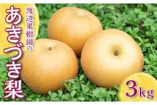 渡辺果樹園のあきづき梨　約3kg＜9月中旬～10月上旬にお届け＞ F7X-0165