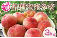阿部農縁　福島県の桃　農家直送の完熟もも　品種おまかせ3kg(8～12玉)　ギフト・贈答用 F7X-0138