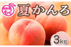 阿部農縁　福島の桃　夏かんろ3kg(10～12玉)　ギフト・贈答用　ふくしまの完熟もも F7X-0049