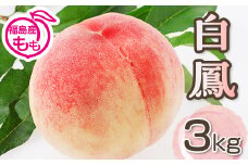 阿部農縁　福島の桃　白鳳3kg(8～12玉)　ギフト・贈答用　ふくしまの完熟もも F7X-0053
