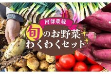 阿部農縁 旬のお野菜わくわくセット（約7～8種類＆加工品） F7X-0029