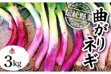 明治から守る伝統野菜「曲がりネギ 赤」約3kg F7X-0074