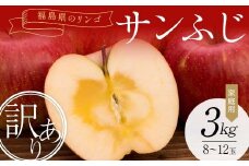 ＜訳あり家庭用りんご＞福島県のリンゴ　サンふじ約3kg(8～12玉) F7X-0013