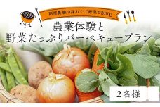 阿部農縁の採れたて野菜でBBQ!農業体験と野菜たっぷりバーベキュープラン 2名様 F7X-0085