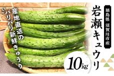 福島県須賀川市産 岩瀬キュウリ10kg 産地直送のパリパリ新鮮きゅうり F7X-0132