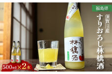 須賀川産すりおろし林檎酒 500ml×2本 F7X-0249