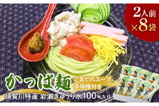 かっぱ麺8袋入りセット F7X-0505