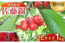 さくらんぼ ＜佐藤幸男農園＞ 佐藤錦 2L 1kg 置き並べ 贈答用 F7X-0219