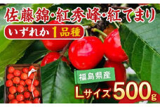 さくらんぼ 佐藤錦 紅秀峰 紅てまり どれか1品種 500g Lサイズ ＜有我果樹園＞ F7X-0227