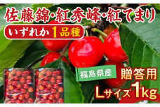 さくらんぼ 佐藤錦 紅秀峰 紅てまりのどれか1品種 1kg Lサイズ 贈答用 ＜有我果樹園＞ F7X-0229