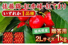 さくらんぼ 佐藤錦 紅秀峰 紅てまりのどれか1品種 1kg 2Lサイズ 贈答用 ＜有我果樹園＞ F7X-0230