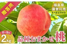 桃 ＜箭内厳雄果樹園＞ もも 2kg 6～9玉 品種おまかせ 贈答用 F7X-0225