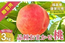 桃 ＜箭内厳雄果樹園＞ もも 3kg　10～13玉 品種おまかせ 贈答用 F7X-0226