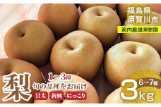 梨 甘太 新興 にっこり 1～3種入り 3kg 6～7個 ＜箭内厳雄果樹園＞ F7X-0223
