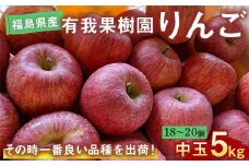 りんご 中玉 18～20個 5kg ＜有我果樹園＞ F7X-0234