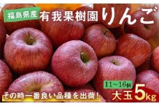 りんご 大玉 11～16個 5kg ＜有我果樹園＞ F7X-0235