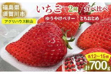 ＜先行予約＞ いちご ＜アグリハウス秋山＞ 食べ比べ「ゆうやけベリー」「とちおとめ」 各12～15個 F7X-0215