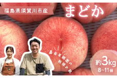 ＜先行受付＞ 嘉斎果樹園の桃「まどか」約3kg（8～11個） もも モモ 桃 デザート フルーツ 果物 くだもの 果実 食品 F7X-0140