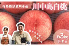 ＜先行受付＞ 嘉斎果樹園の桃「川中島白桃」約3kg（8～11個） もも モモ 桃 デザート フルーツ 果物 くだもの 果実 食品 F7X-0141