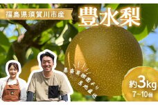 ＜先行受付＞ 嘉斎果樹園の梨「豊水」約3kg（7～10個） なし ナシ 梨 デザート フルーツ 果物 くだもの 果実 食品 F7X-0142