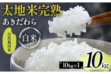 2024年産 自然栽培米 太地米完熟 【あきだわら】 白米 10kg ブランド米 お米 精米 白米 人気 F7X-0338