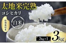 2024年産 特別栽培米 太地米完熟 【こしひかり】 白米 3kg ブランド米 お米 精米 白米 人気 F7X-0312