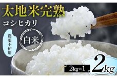 2024年産 農薬不使用 太地米完熟 【こしひかり】 白米 2kg ブランド米 お米 精米 白米 人気 F7X-0327