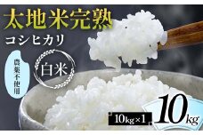2024年産 農薬不使用 太地米完熟 【こしひかり】 白米 10kg ブランド米 お米 精米 白米 人気 F7X-0330