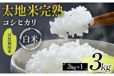 2024年産 自然栽培米 太地米完熟 【こしひかり】 白米 3kg ブランド米 お米 精米 白米 人気 F7X-0344