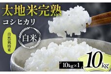 2024年産 自然栽培米 太地米完熟 【こしひかり】 白米 10kg ブランド米 お米 精米 白米 人気 F7X-0346