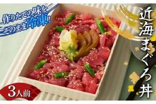 作りたての味をそのまま冷凍！豪華近海まぐろ丼3人前 まぐろ まぐろ丼 海の幸 魚介 海産物 食品 冷凍 加工品 F7X-0495