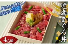 作りたての味をそのまま冷凍！豪華近海まぐろ丼4人前 まぐろ まぐろ丼 海の幸 魚介 海産物 食品 冷凍 加工品 F7X-0496