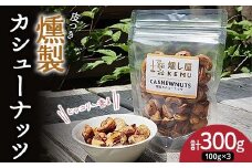 ヒッコリー香る 皮つき燻製カシューナッツ300g（100g×3袋） カシューナッツ ナッツ 木の実 小分け 無添加 おつまみ おやつ F7X-0298