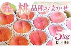 桃 品種おまかせ 5kg 13～18個 もも 贈答 プレゼント ＜佐藤果樹園＞ モモ 桃 デザート フルーツ 果物 F7X-0282