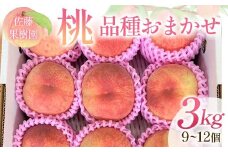 桃 品種おまかせ 3kg 9～12個 もも 贈答 プレゼント ＜佐藤果樹園＞ モモ 桃 デザート フルーツ 果物 F7X-0281