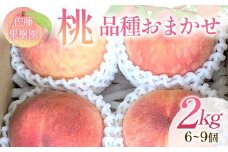 桃 品種おまかせ 2kg 6～9個 もも 贈答 プレゼント ＜佐藤果樹園＞ モモ 桃 デザート フルーツ 果物 F7X-0280
