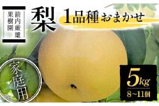 梨 家庭用 1品種おまかせ 5kg 8～11個 ＜箭内厳雄果樹園＞ なし ナシ 梨 デザート フルーツ 果物 くだもの F7X-0283