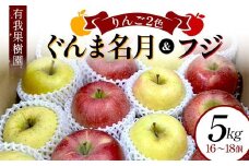 りんご 2色 リンゴ ぐんま名月 フジ 5kg 16～18個 御歳暮 ＜有我果樹園＞ りんご リンゴ 林檎 デザート フルーツ 果物 くだもの F7X-0285